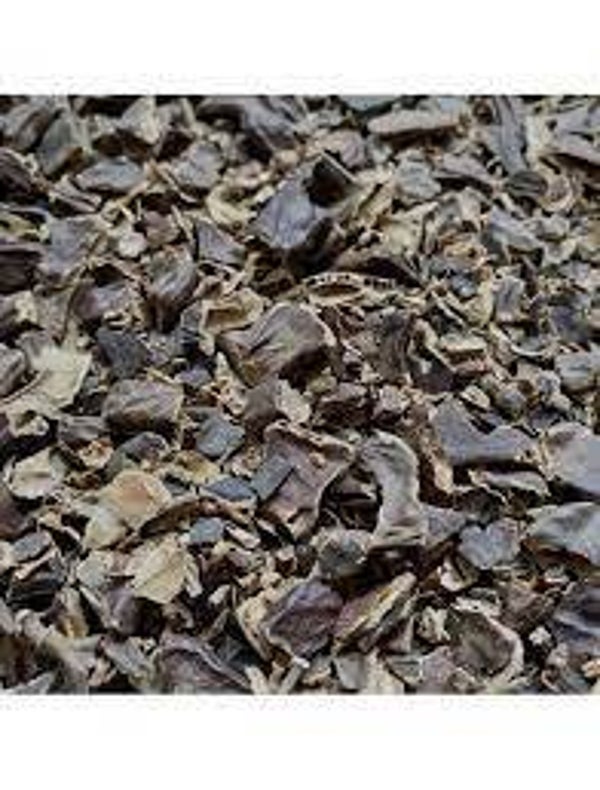 CAROUBIER, Caroube, ceratonia siliqua, alfarroba, (fruits)