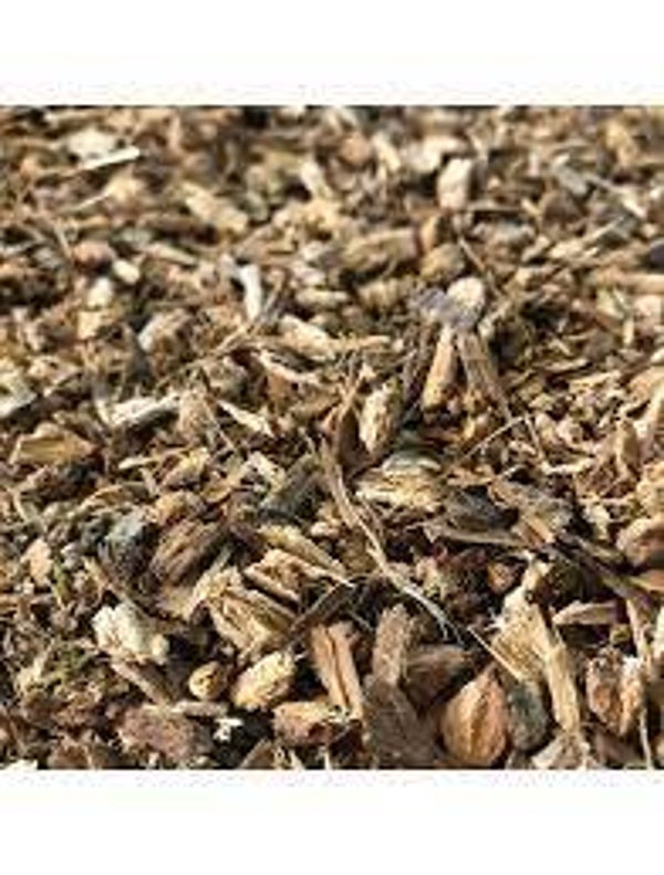CHENE,Quercus robur, carvalho, Ecorce