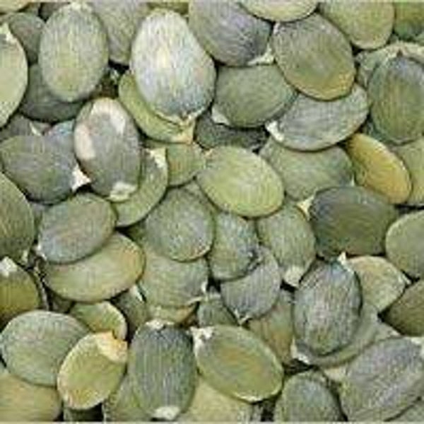 COURGE, graines de courge, abobora sementes, curcubita pepo