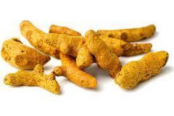 CURCUMA, RACINE