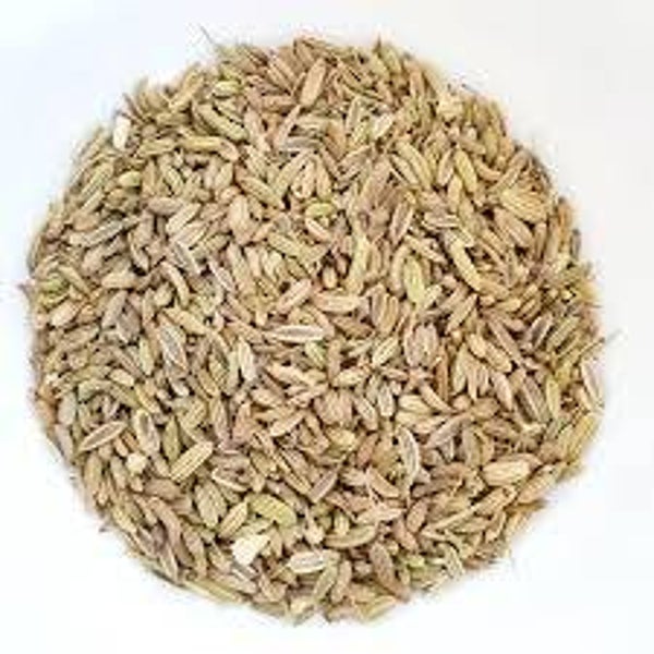 FENOUIL, foeniculum vulgare, funcho, GRAINES