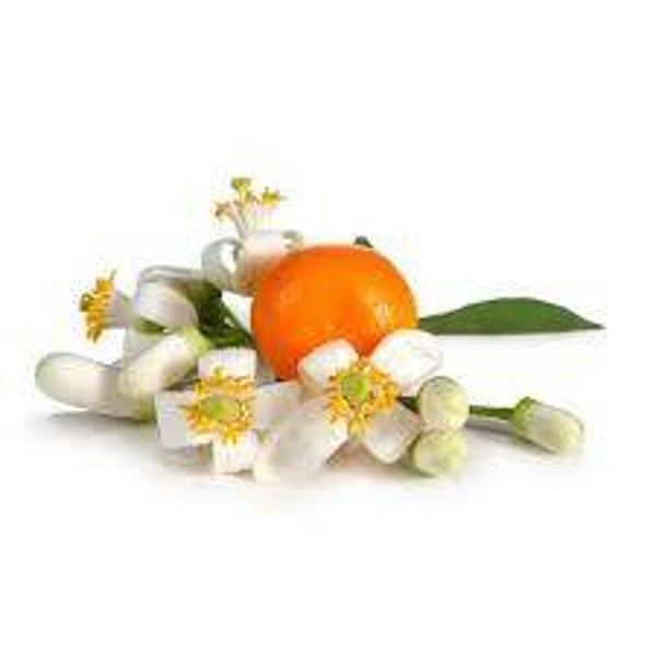 ORANGER, LARANJEIRA, FLEURS EXTRA BIO