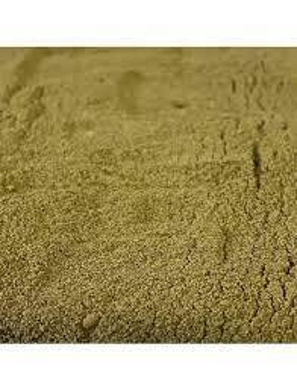 FUCUS, ALGUES MARINES, Fucus Vesiculosos, Algas Marinhas, En POUDRE