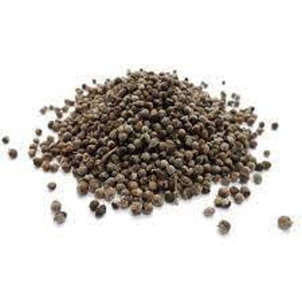 GATTILIER, Agno Casto, vitex agnus castus, fruits