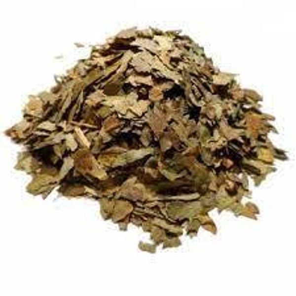 GINKGO BILOBA, gingko biloba
