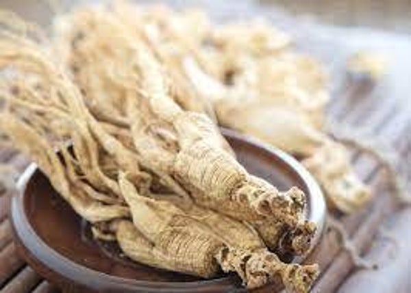 GINSENG BLANC, GINSENG BRANCO, PANAX GINSENG, RACINE