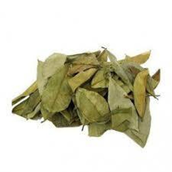 GRAVIOLA, COROSSOL, POMME CANNELLE, ANNONE MURICATA, MUDA DE PINHA