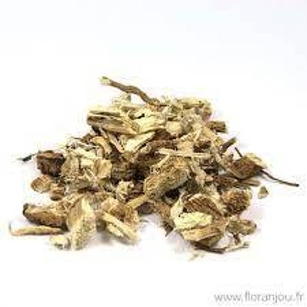 GUIMAUVE, altea officinalis, alteia, RACINE
