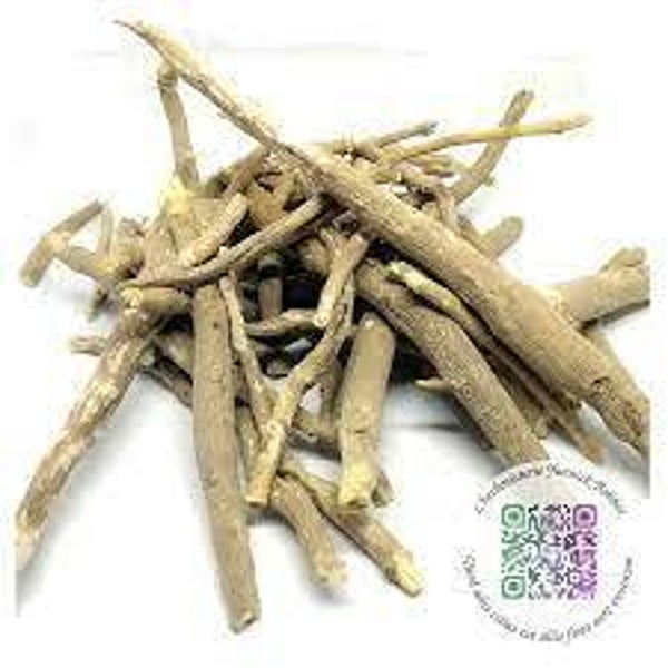 GINSENG INDIEN, Withania somnifera, ashwaghanda, racine