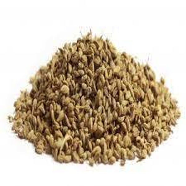 KHELLA, NOUKHA, bisnaga, Ammi visnaga, GRAINES