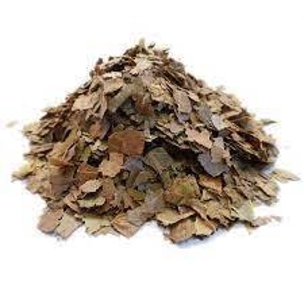 Kinkéliba, combreto, combretum micranthum, FEUILLES