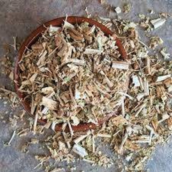 LAITUE, alface, Lactuca sativa