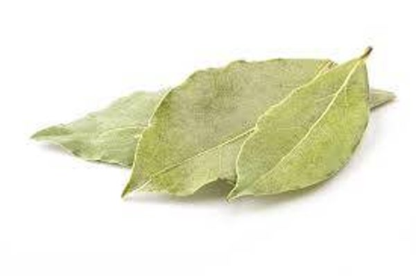 LAURIER, LOURO, LAURUS NOBILIS, FEUILLES, BIO