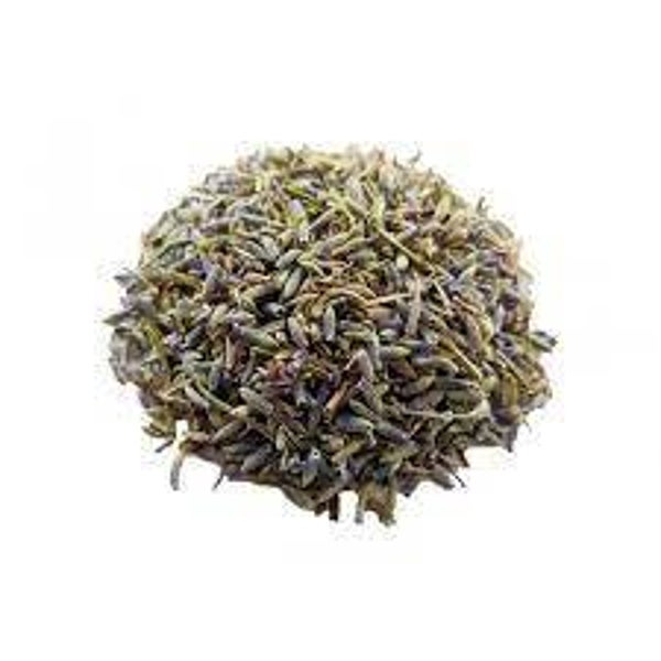 Lavande, Alfazema, Lavandula spica, Fleurs