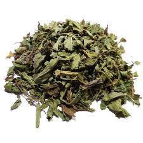 MENTHE, HORTELA VULGAR, MENTHA SPICATA BIO