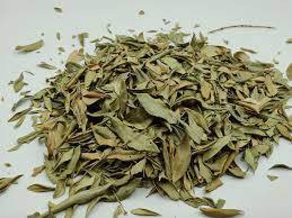 MYRTE, MURTA, Myrtus communis, feuilles