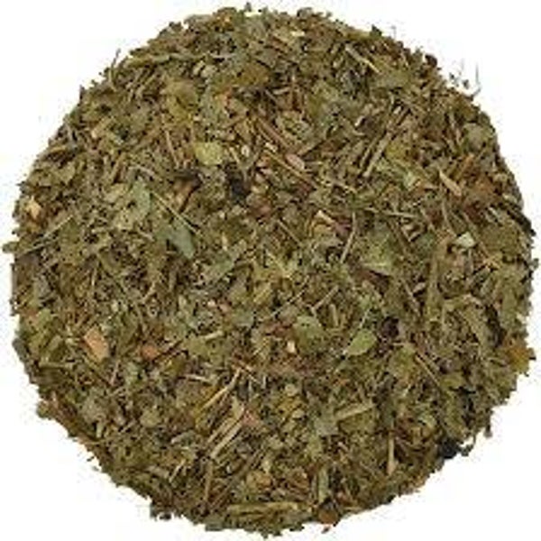 MYRTILLE,  feuille, MYRTILLIER, Vaccinum myrtillus