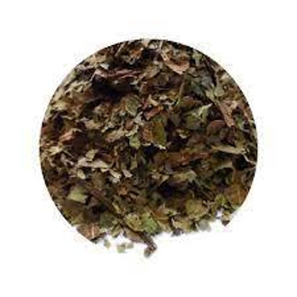 NOYER, NOGUEIRA, Juglans regia, FEUILLES