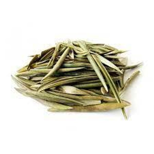 OLIVIER, OLIVEIRA, Olea europaea, FEUILLES