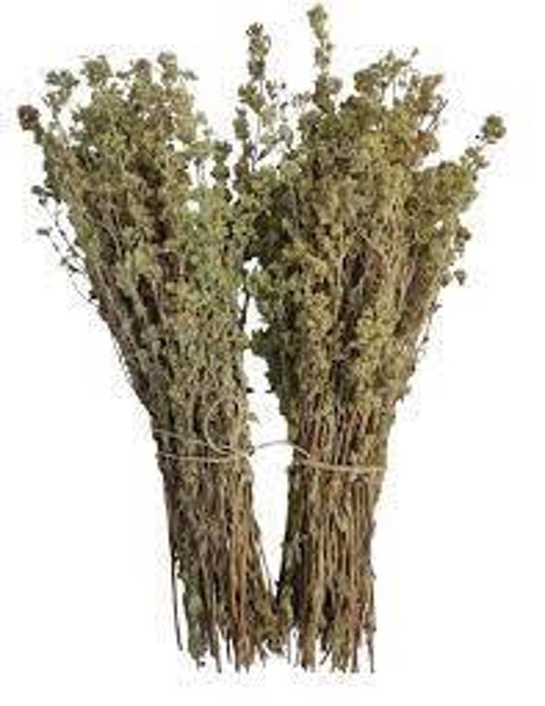 ORIGAN, Oregaes, Origanum vulgare, en bouquet 15cm