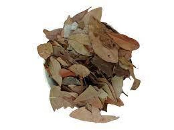 Pedra Hume caa, Pedra ume caa, feuilles