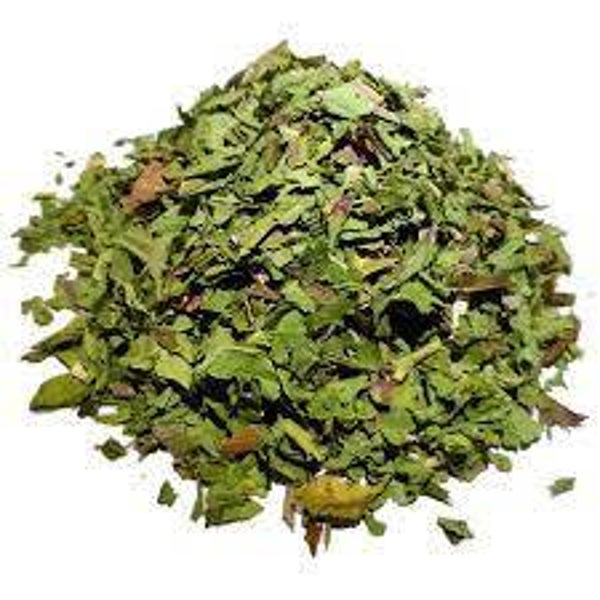 PISSENLIT, Taraxaco, Dente de Leao, Tarasacum officinale, PARTIES AERIENNES
