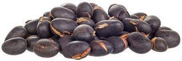 Mucuna Pruriens, Dolichos pruriens, Po de Mico, GRAINES