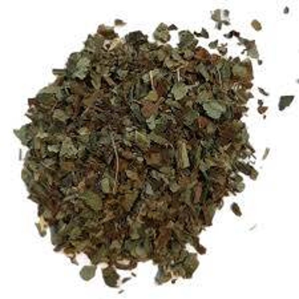 PULMONAIRE, PULMONAIRE OFFICINALE, PULMONARIA, feuilles