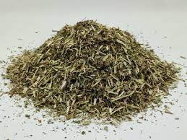 REINE DES PRÉS, ulmaria, rainha dos prados, Filipendula ulmaria