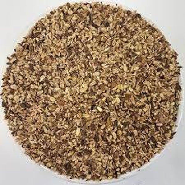 RHUBARBE, Ruibarbo, rheum officinale, racine