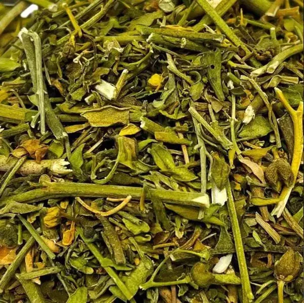 RUE DES JARDINS, FIGEL, ARRUDA, RUTA GRAVEOLENS