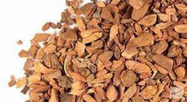 SASSAFRAS, SASSAFRAS OFFICINALE, canelle de sassafras,