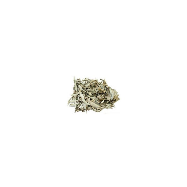 SAUGE, SALVA, salvia officinalis, parties aériennes