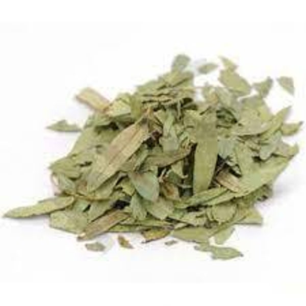 Séné, Cassia angustifolia, sene, feuilles