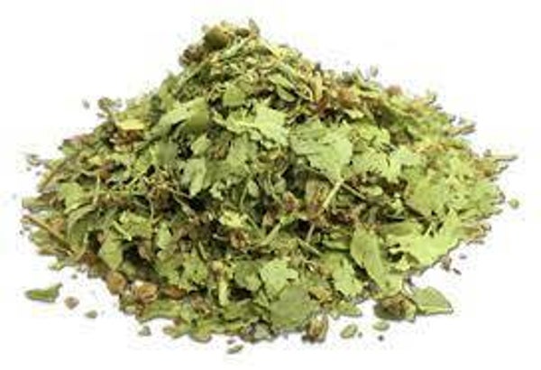 TILLEUIL FEUILLES