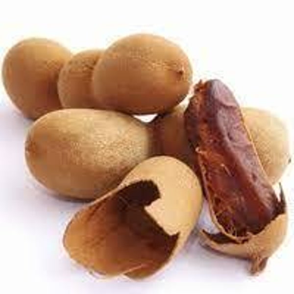 TAMARIN, Tamarindus indica, frmuits