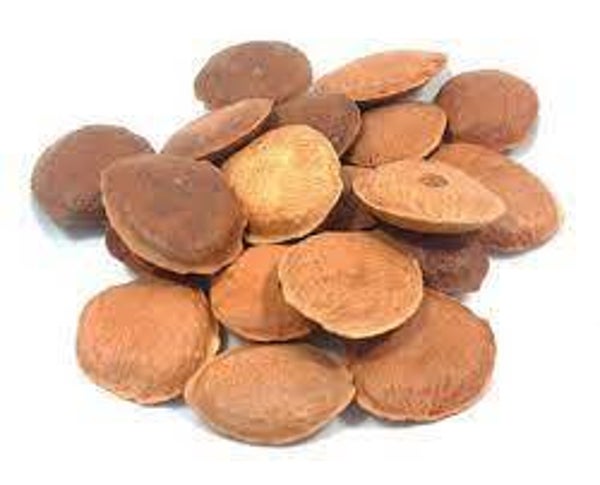 Sucupira, Pterodon pubescens, Cutiúba, Supupina-do-campo, Sicupira, Sicupira-do-Cerrado