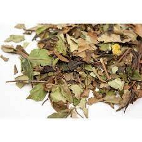 THE BLANC, Cha branco, Camelia sinensis