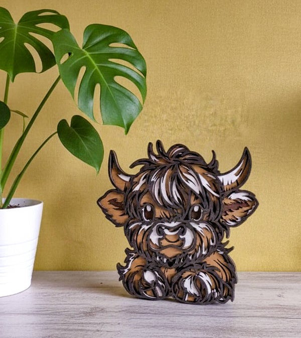 Schotse hooglander kalfje