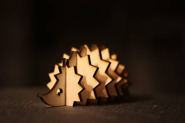 Kerstdecoratie Houten Egel