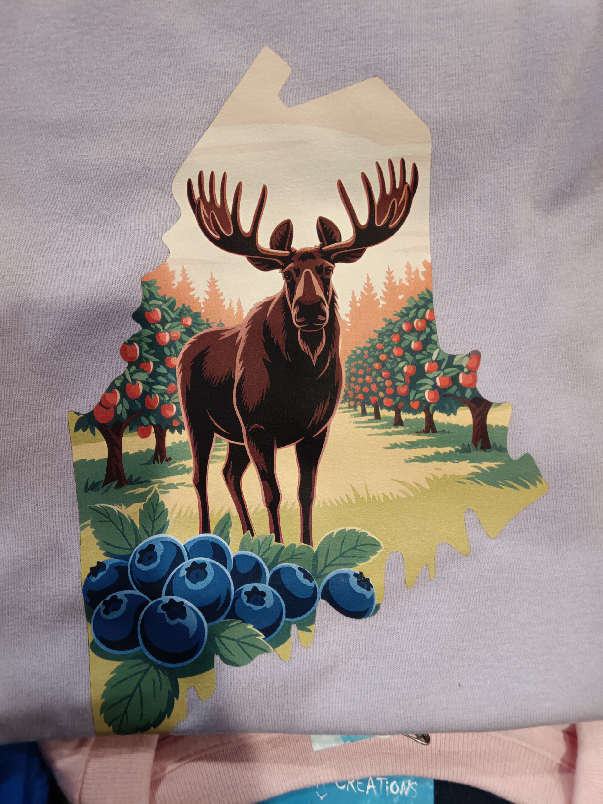 Adult Sweat Shirts & Hoodies!