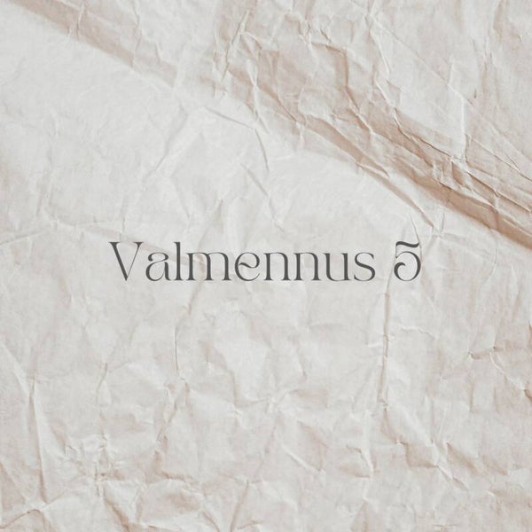 Yksilöllinen valmennus 5 tapaamista
