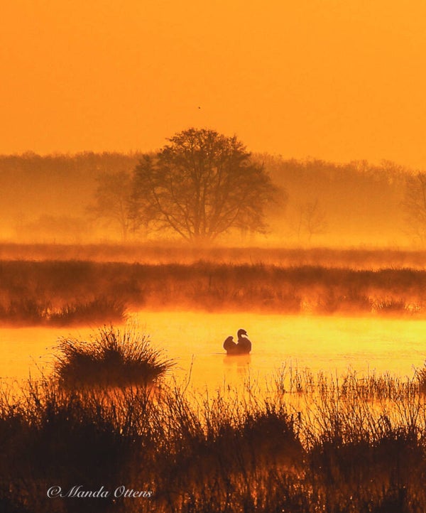tuinposter zonsondergang