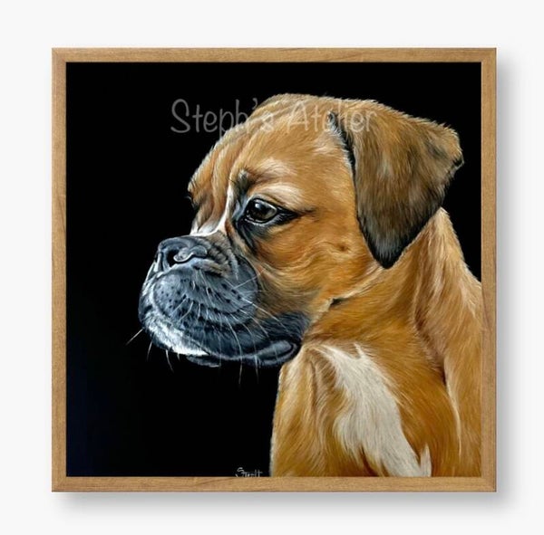 Ingelijste afbeelding “Boris de Boxer” zonder passe-partout