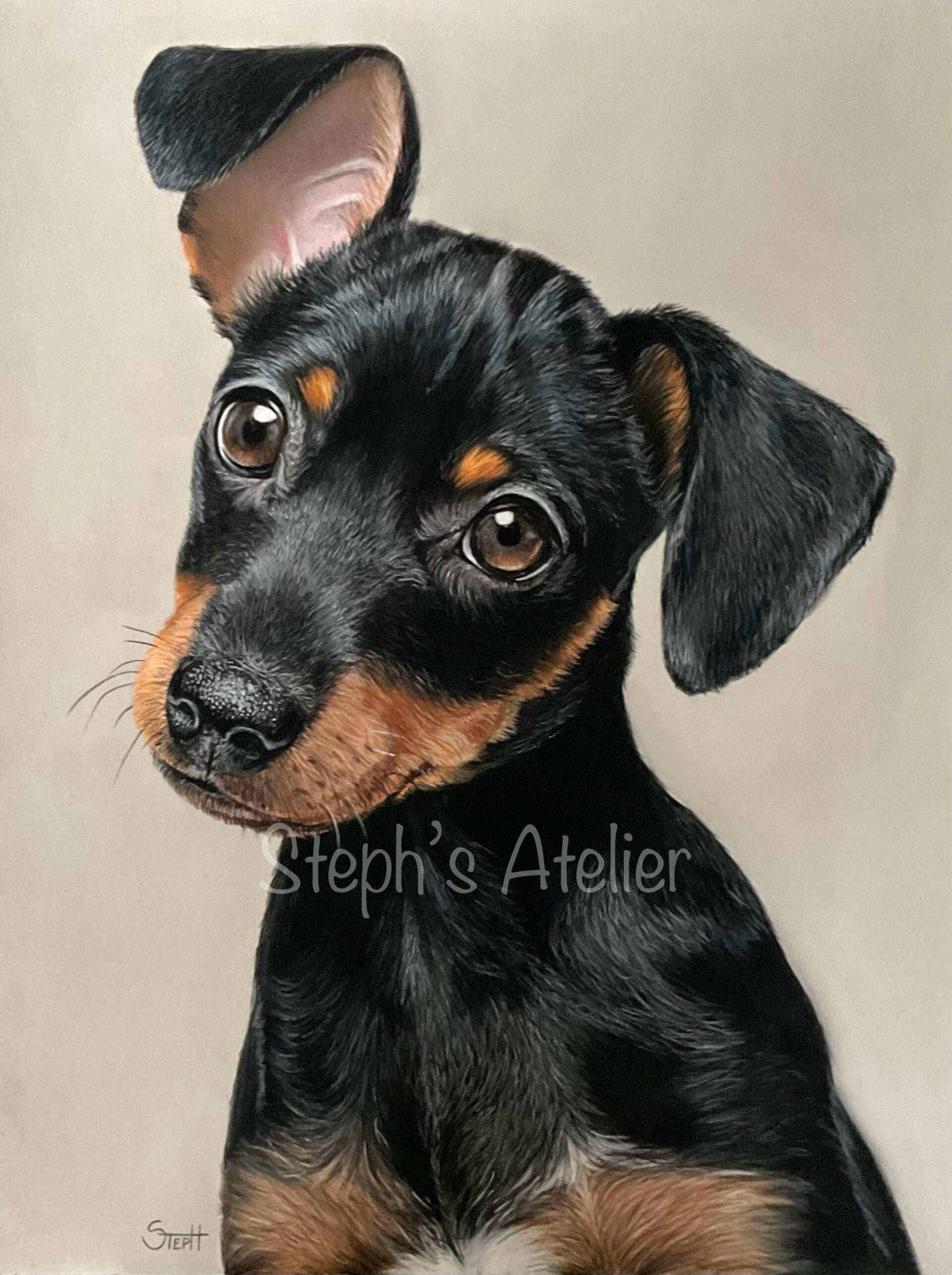 Framed pastelpainting Pitou, miniature Pinscher    /  Ingelijste Pasteltekening Pitou, Dwergpinscher