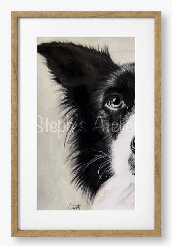 Ingelijste afbeelding “Border Collie” met passe-partout