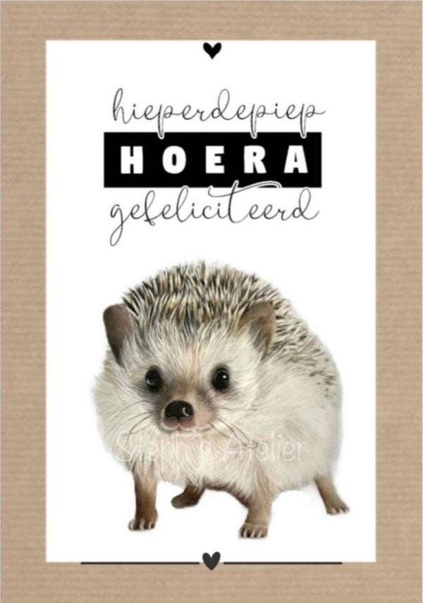 Wenskaart egeltje        klein (A6)