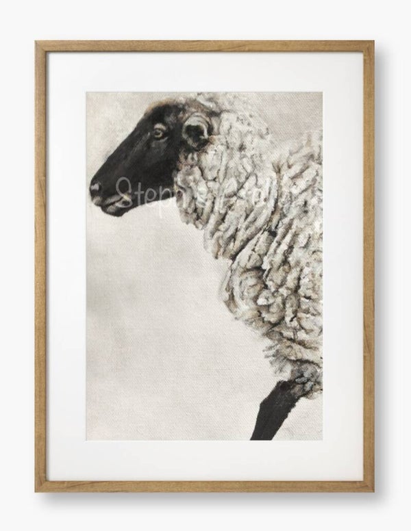 Ingelijste afbeelding “Schaap” met passe-partout