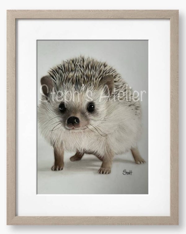 Ingelijste afbeelding “Harry de egel” met passe-partout