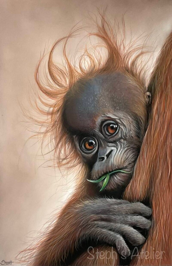 Canvas “Ollie, Oerang Oetang”